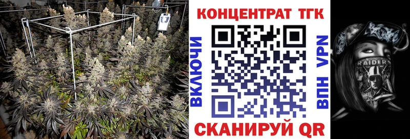 Купить  Онега  Дистиллят ТГК гашишное масло 