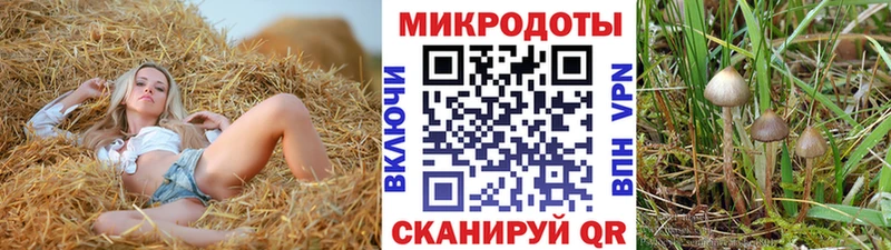 Купить закладки  Онега  Псилоцибиновые грибы GOLDEN TEACHER 